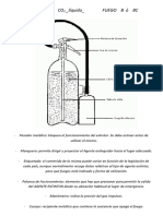 2°6° - ST 2 - Actividad 2 - Extintor - Partes - B - BC - Material de Lectrura