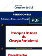 Princípios Básicos de Cirurgia Periodontal - Nova - Cópia