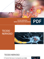 Tecido Nervoso 1