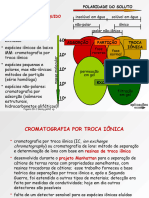 Cromatografia de Ions PDF
