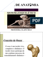 Aula Sistema Esquelético