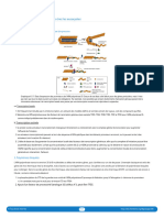 19 Transcriptional Regulation in