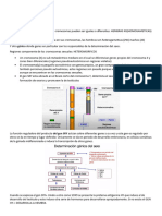 APO 9 Genetica