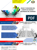 COMITE PARITARIO MANUAL DE FUNCIONES - copia