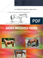 Anermia Equida