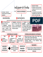 CICATRIZAÇÃO DE FERIDAS (Cartaz (Paisagem) )