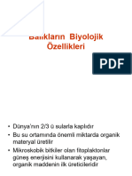 Balıkların Biyolojik Özellikleri