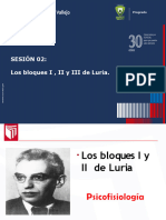 PPT Sesión 2 - Los Bloques de Luria