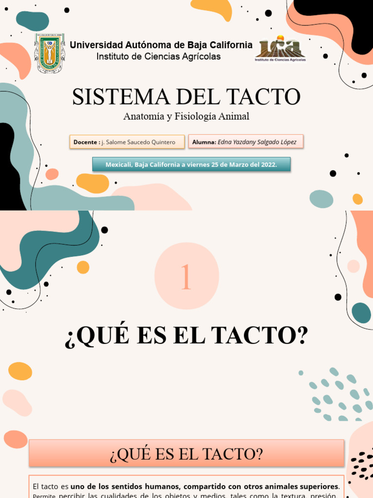 Sistema Del Tacto E.Y.S.L | PDF | Piel | Sentidos