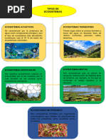 Organizador Grafico de ECOSISTEMAS | PDF