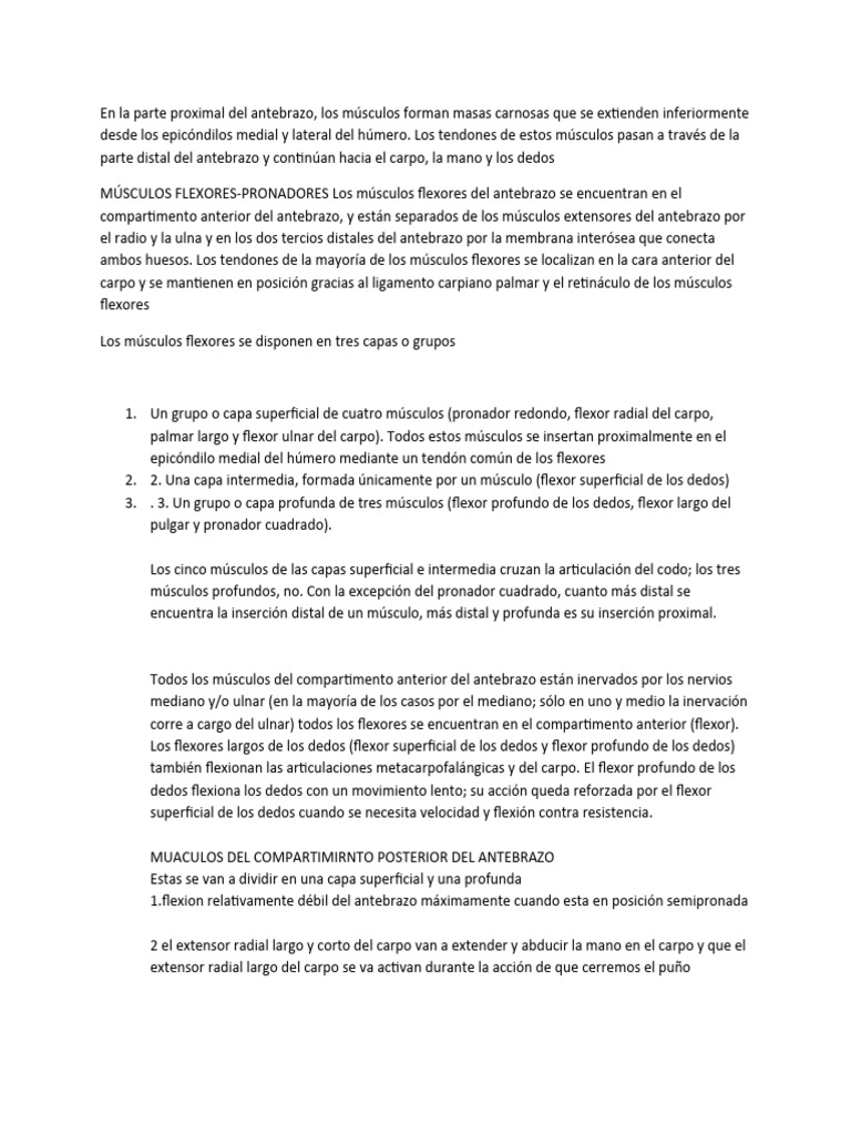 Expo Anato Pdf Mano Sistema Musculoesquelético