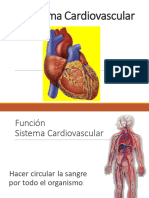 2.- Sistema Cardiovascular 2020