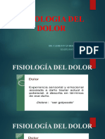 Fisiología Del Dolor