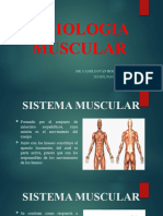 FISIOLOGIA MUSCULAR