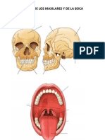 Dibujos mudos UD 3