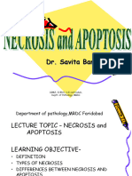 N-2 Necrosis and apoptosis 2