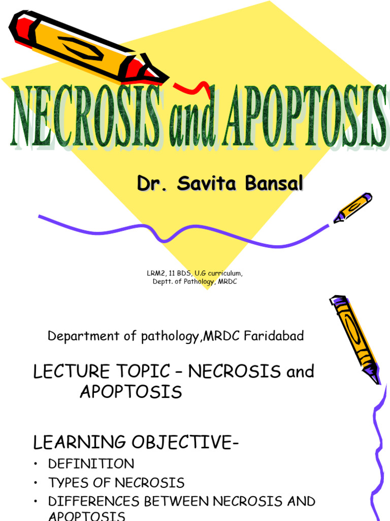 Necrosis and Apoptosis in Pathology | PDF | Apoptosis | Necrosis
