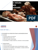 Bases Anatomofuncionais Dos Sistemas