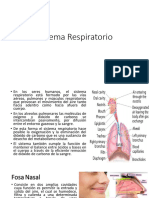 Sistema Respiratorio