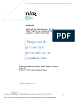 Programas de Promoci N y Prevenci N en Las Organizaciones PDF