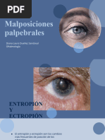 Entropio y Ectropión en Oftalmología | PDF | Medicina CLINICA ...