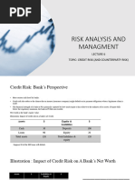 IRB Risk Weight Functions Guide | PDF | Money | Financial Services