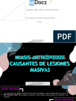 Miasis Artropodos Causantes de Lesiones Masivas 272383 Downloable 674763