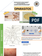 Ecto Parasit Os