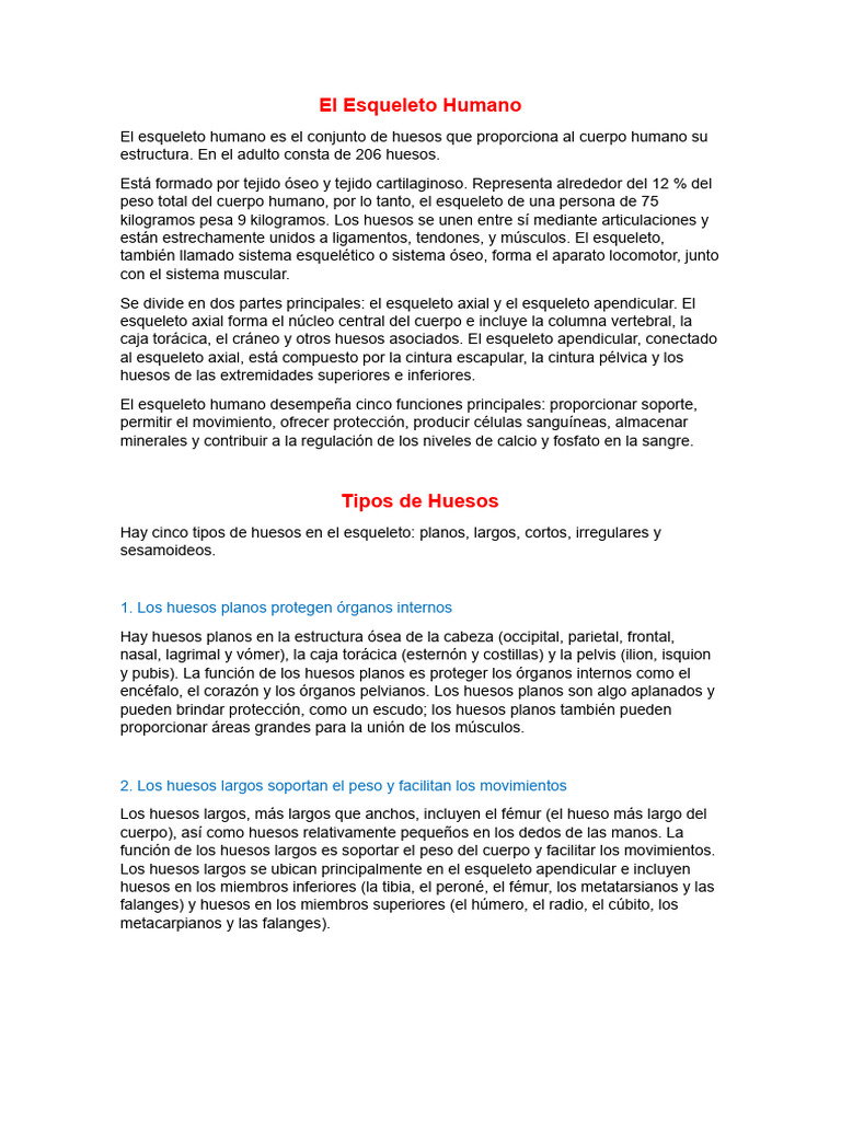 El Esqueleto Humano Pdf Esqueleto Hueso