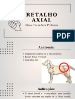 Retalho Axial