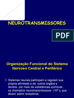 2 Neurotransmissao