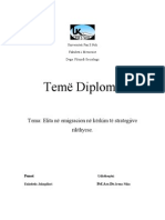 Teme Diplome