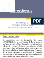 2.6 Aterosclerosis (2)