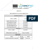 Informe de CT Grupo Anghela