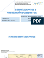 Matriz Interacciones - EIA SEM 12