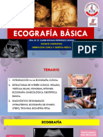 Eco Embriología