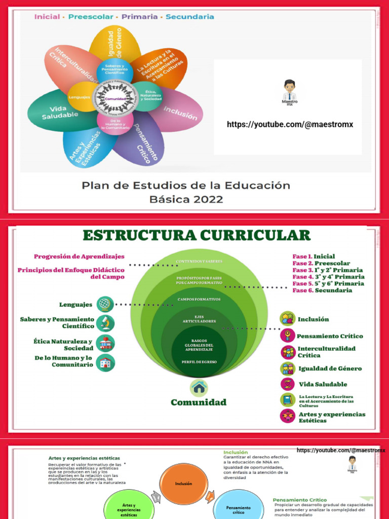 Ejes Articuladores del Plan 2022 | PDF | Plan de estudios | Educación ...