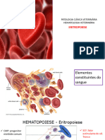 4 - Eritropoiese