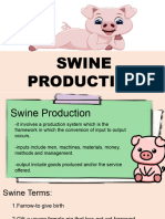 Swine Production