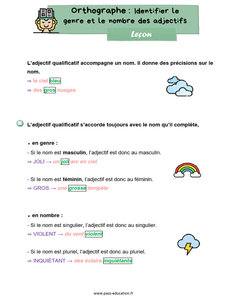 Accord des adjectifs CE1 | PDF