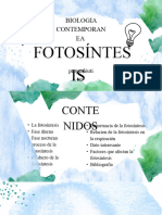 fotosintesis