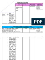 Programa Analítico Mes