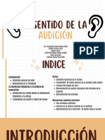 Audición