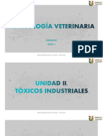 Toxico Unidad II Clase 2c 2024 1