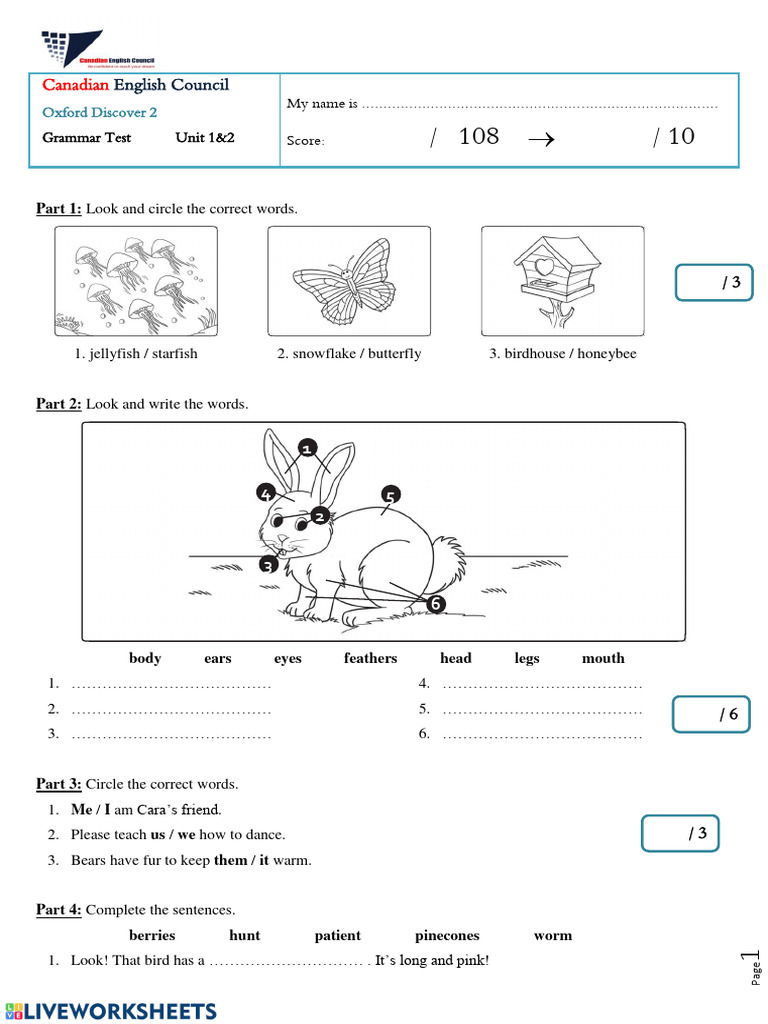 Unit 1 + 2 | PDF | Plural | Grammar