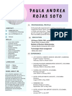 Paula Rojas CV - 171197672241