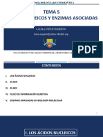 UT5 ÁCIDOS NUCLEICOS Y ENZIMAS ASOCIADAS