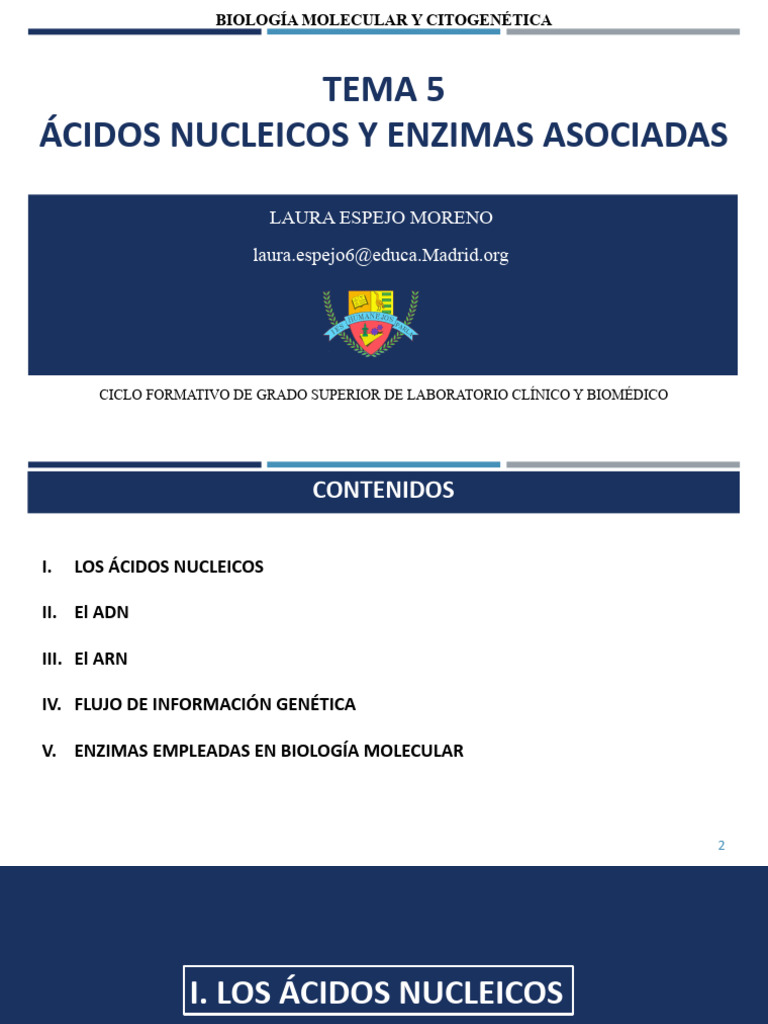 Ut5 Ácidos Nucleicos y Enzimas Asociadas | PDF | Traducción (biología ...