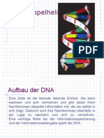 Aufbau Der DNA