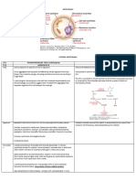 ANTIFUNGALS